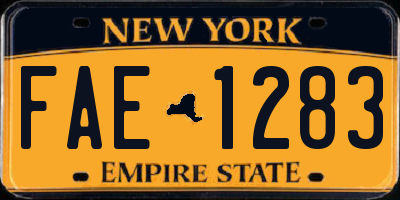 NY license plate FAE1283