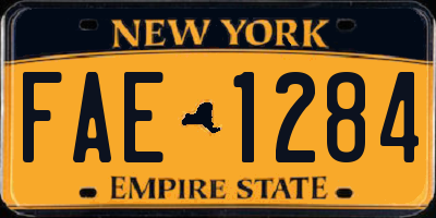NY license plate FAE1284