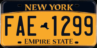 NY license plate FAE1299