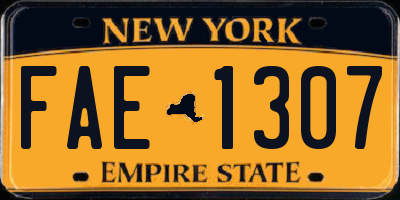 NY license plate FAE1307