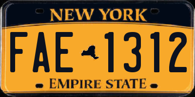 NY license plate FAE1312