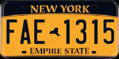 NY license plate FAE1315