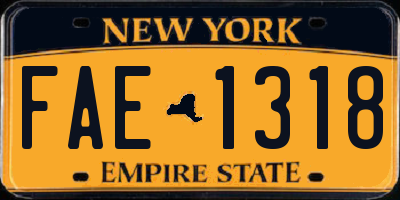 NY license plate FAE1318