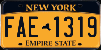 NY license plate FAE1319