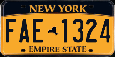 NY license plate FAE1324