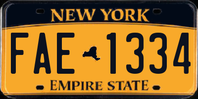 NY license plate FAE1334