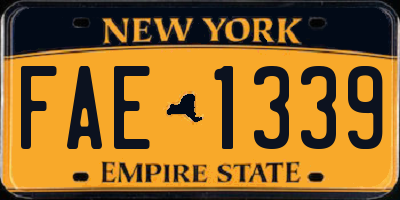 NY license plate FAE1339