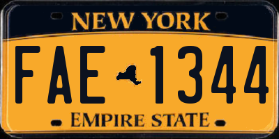 NY license plate FAE1344