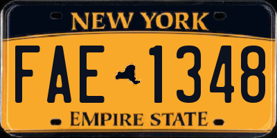 NY license plate FAE1348