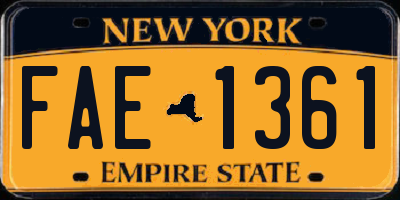 NY license plate FAE1361
