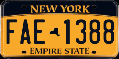 NY license plate FAE1388