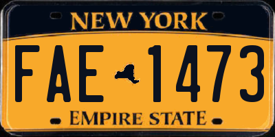 NY license plate FAE1473