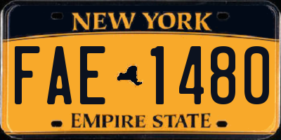 NY license plate FAE1480