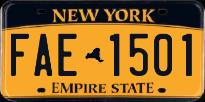 NY license plate FAE1501