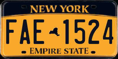NY license plate FAE1524