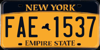 NY license plate FAE1537