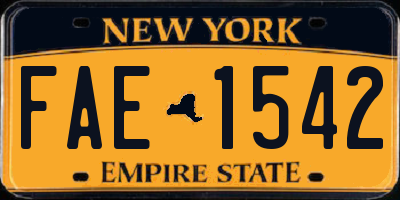NY license plate FAE1542