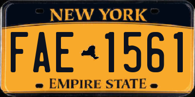 NY license plate FAE1561