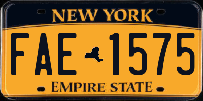 NY license plate FAE1575