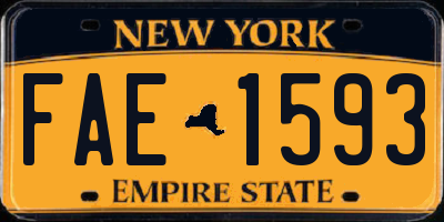 NY license plate FAE1593