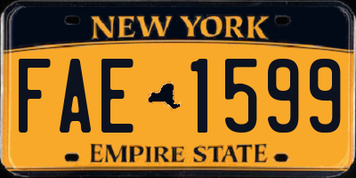 NY license plate FAE1599
