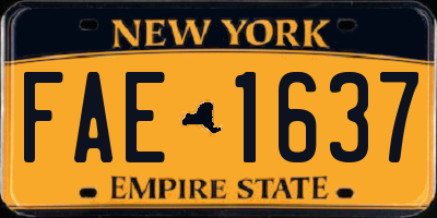 NY license plate FAE1637