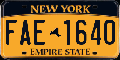 NY license plate FAE1640