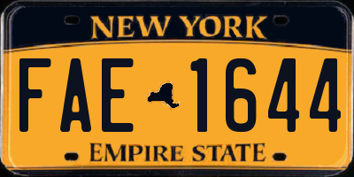 NY license plate FAE1644
