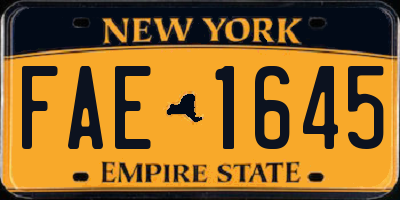 NY license plate FAE1645