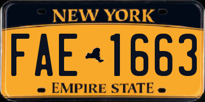 NY license plate FAE1663