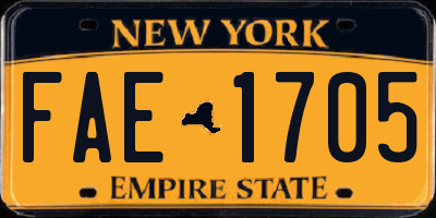 NY license plate FAE1705