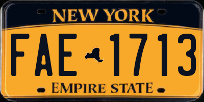NY license plate FAE1713