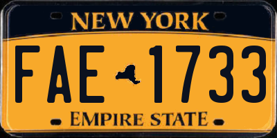 NY license plate FAE1733