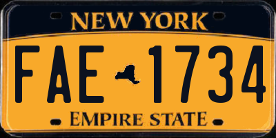 NY license plate FAE1734