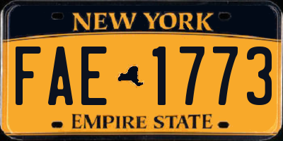 NY license plate FAE1773