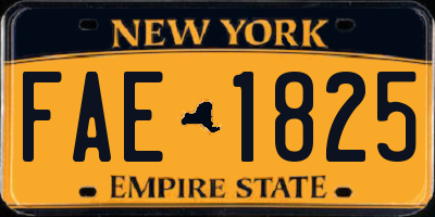 NY license plate FAE1825