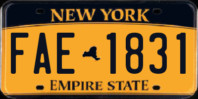 NY license plate FAE1831