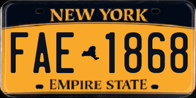 NY license plate FAE1868