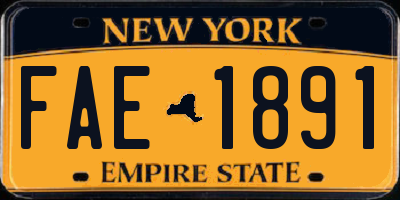 NY license plate FAE1891