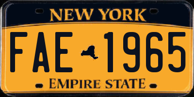 NY license plate FAE1965