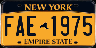 NY license plate FAE1975