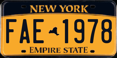NY license plate FAE1978