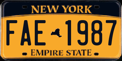 NY license plate FAE1987