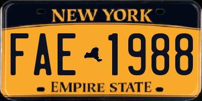 NY license plate FAE1988