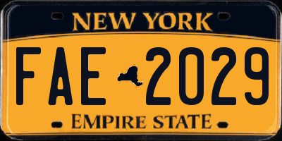 NY license plate FAE2029