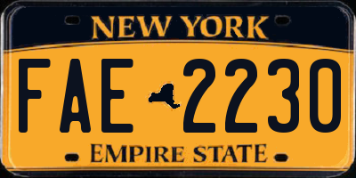 NY license plate FAE2230