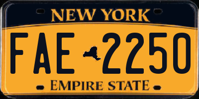 NY license plate FAE2250