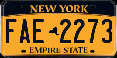 NY license plate FAE2273