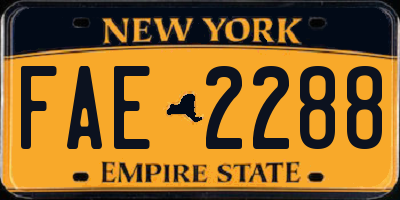 NY license plate FAE2288