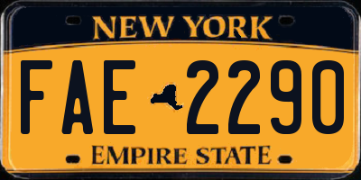 NY license plate FAE2290